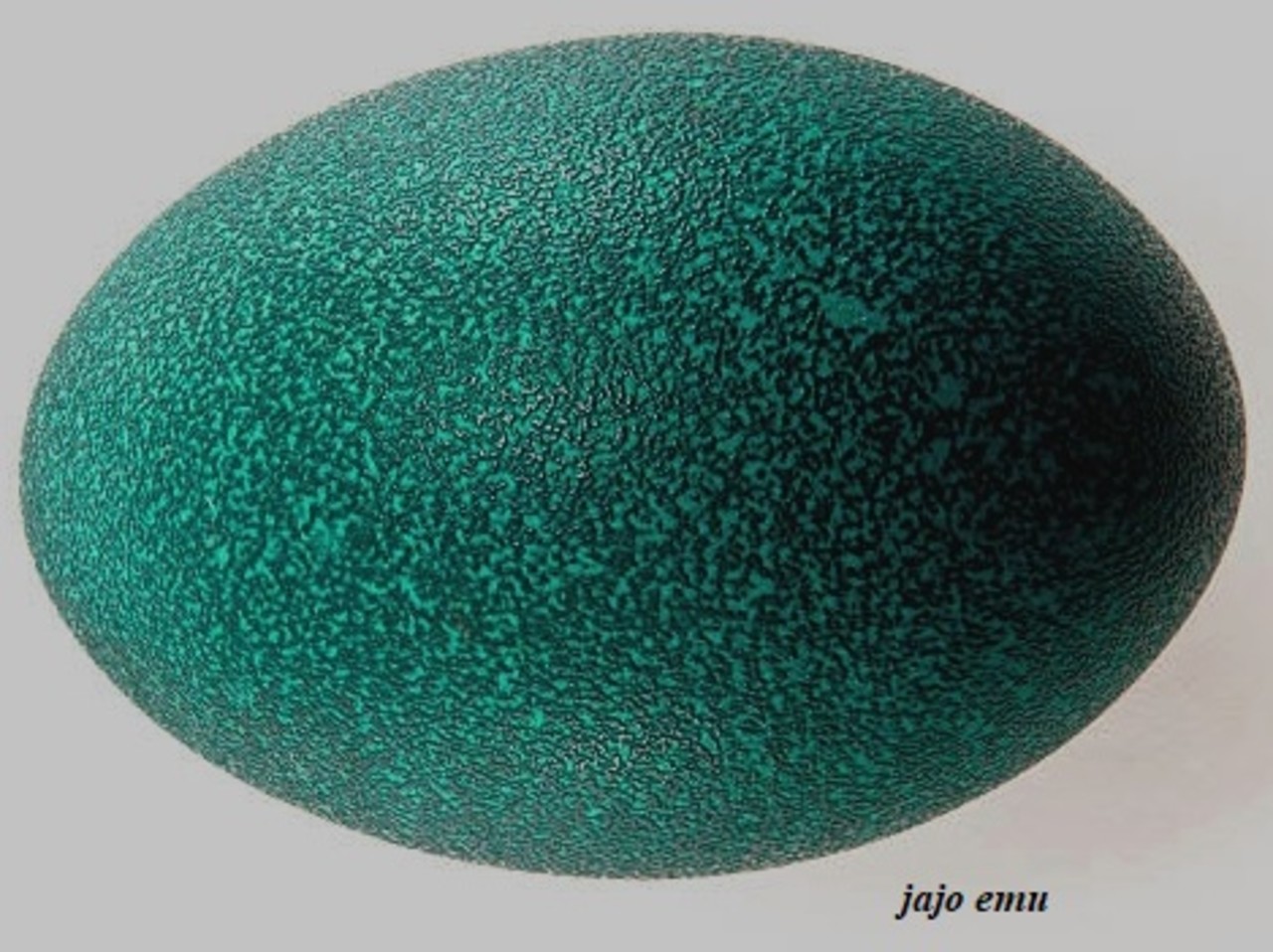 Emu egg