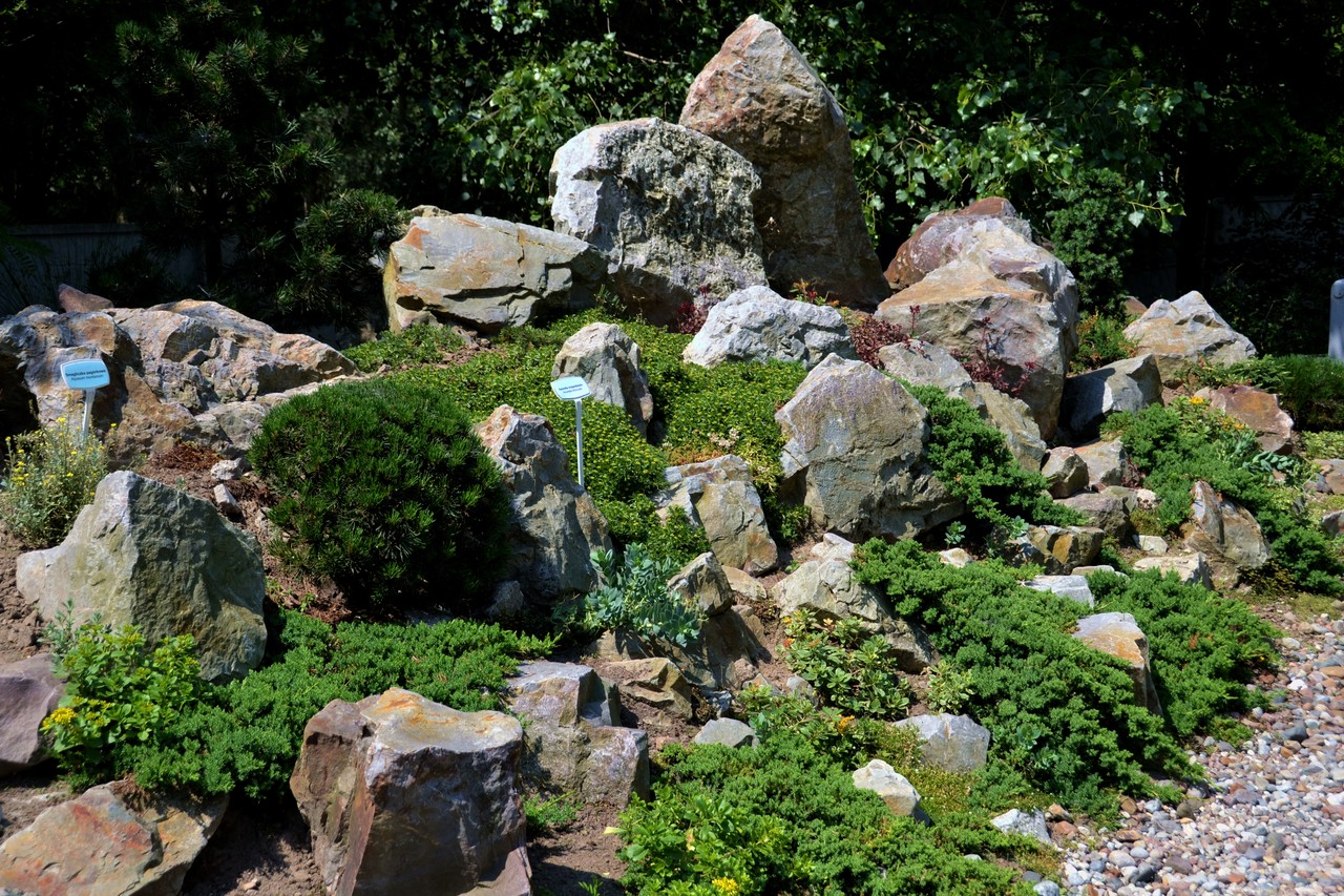 Rock Garden