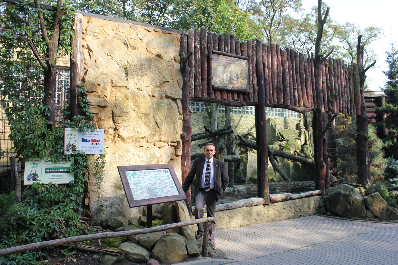 Rock exhibit for Persian Leopards, Plock ZOO