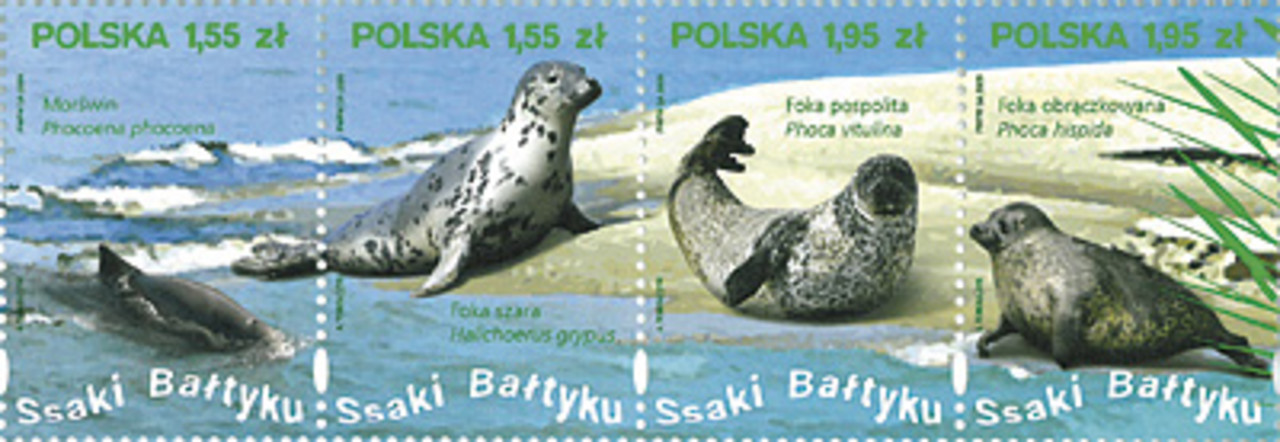 Znaczki z wizerunkami morświna i fok żyjących w Bałtyku